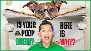 Why Is Your Poop Green? Shocking Causes and When to Worry!