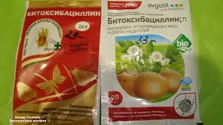 БИТОКСИБАЦИЛЛИН .  ВСЕ ЧТО НАДО ЗНАТЬ О БИТОКСИБАЦИЛЛИНЕ