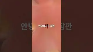 그냥 찾아가는 #코드스테이츠 인터뷰 Intro.