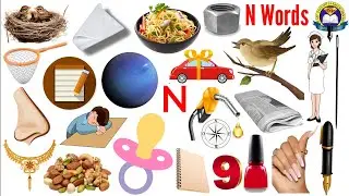 N Words | Vocabulary Words With N | English Vocabular | Nest | Net | Nurse | Nuts | New | Nice