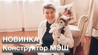 Новость дня! Конструктор МЭШ