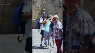 Pilgrims reaching Santiago de Compostela 2024