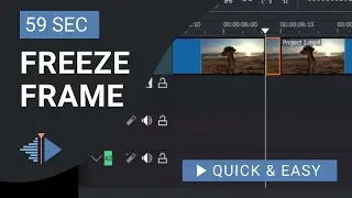 Kdenlive Tutorial: How to Freeze Frame in Kdenlive