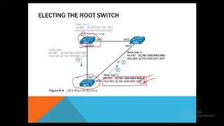 (Spanning Tree Protocol Concepts)  STP