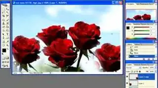 How to use Lasso Tool ?  Adobe Photoshop Black Belt training