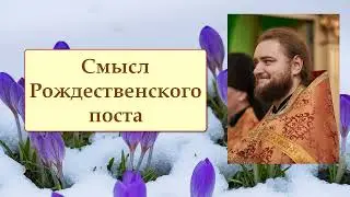 СМЫСЛ РОЖДЕСТВЕНСКОГО ПОСТА. Отец Савва (Мажуко).