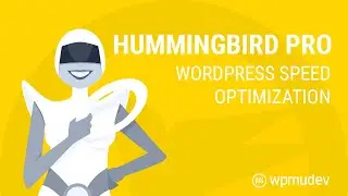 Hummingbird Pro - Wordpress Speed Optimization Plugin