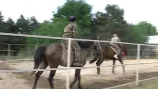 Курс молодого бойца г  Ессентуки