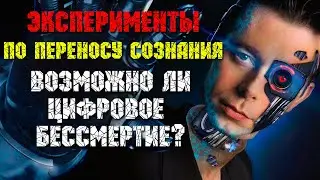 Эксперименты по переносу сознания. Возможно ли цифровое бессмертие?