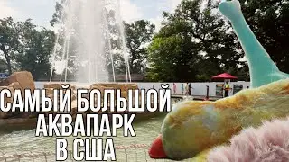 Хаотичный влог выходного дня🌊