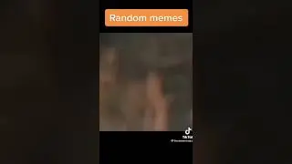 Random memes I found on TikTok pt.6