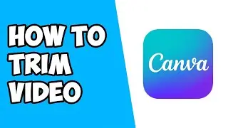 How To Trim Video in Canva