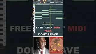 Free Rema Afrobeat midi chord DONT LEAVE