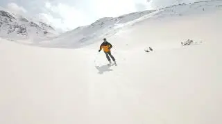 skier