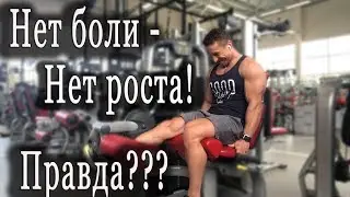 Нет боли - Нет роста! Правда ли это?