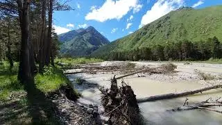Peaceful Birds Chirping, River Noise & Mountain Nature