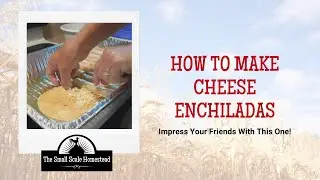 Easy Cheese Enchilada Recipe