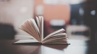 Секлитова И Стрельникова