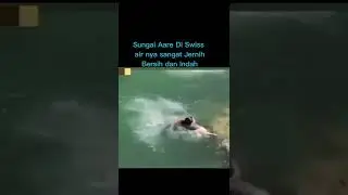 hati-hati berenang disungai yang deras arusnya 