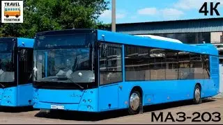 Транспорт в России. Автобус МАЗ-203 | Transport in Russia. Bus MAZ-203