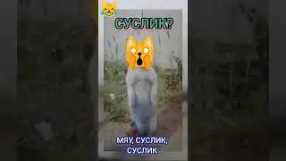 Ты кто Такой - 