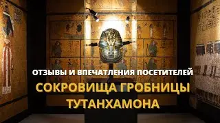Отзывы и впечатления в репортаже с выставки 