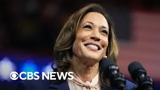 Political strategists on Kamala Harris economic plan