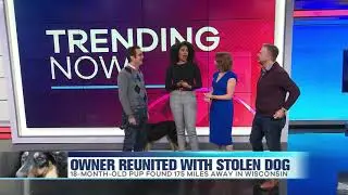 Owner Reunited with Stolen Dog