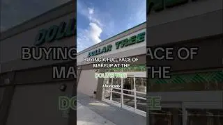 BUYING A FULL FACE OF MAKEUP… AT THE DOLLAR TREE