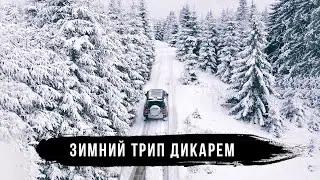 Полесье - зимнее путешествие дикарем на Land Rover Defender. Часть 2