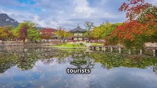 Discover the Magic of Nami Island: A Tourist's Guide