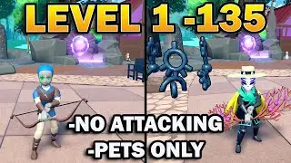 Level 1 to 135- No Attacking, Pets Only in World Zero