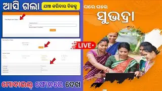 subhadra Helpline Application Status Check Online | Subhadra Portal Update | subhadra yojana news