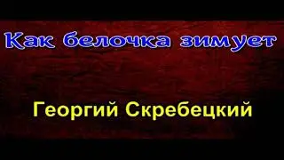 Как белочка зимует— Георгий Скребецкий  —читает Павел Беседин