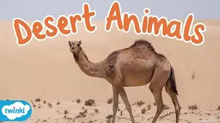 What Animals Live in the Desert? | Desert Animals for Kids