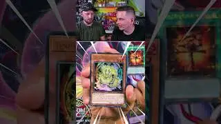 Tenpai Dragon Genroku  Ultra Rare | The Infinite Forbidden | Daily Dose of TCG Yugioh