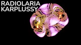 Karplussy - Sound Reactive Radiolaria