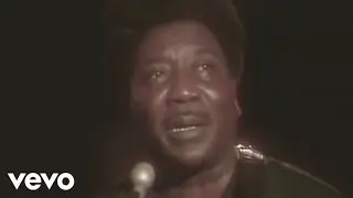 Muddy Waters - Hoochie Coochie Man (Live)