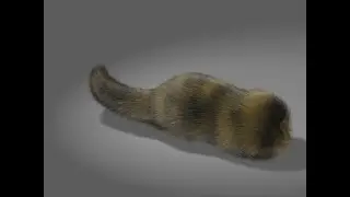 Furry Tail in Animation:Master