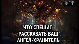 О чем спешит рассказать Ангел-Хранитель? 🔥💯🔥 ГАДАНИЕ ОНЛАЙН  РАСКЛАД ТАРО