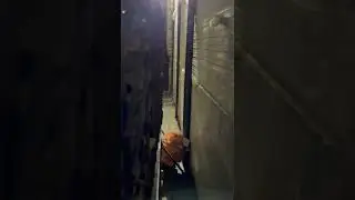 Сушилка для дров, тепло нагнетает теплогенератор.