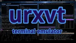 URXVT is the Best Terminal. (And some configuration notes)