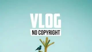 Vaxenn - Holidays (Vlog No Copyright Music)