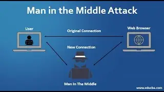 Mastering Man-in-the-Middle (MitM) Tools in Kali Linux 2024