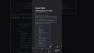 Input field animation with CSS 2.0 | HTML & CSS