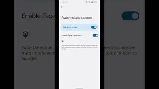 Pixel 6: Turn on Face Detection to improve Auto rotate