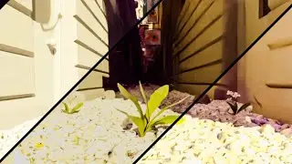 3D model of Closely street with plants 3D #blender #viralvideo #3dmodeling