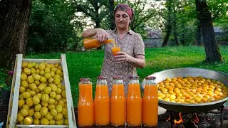 Apricot Harvesting and Making Natural Apricot Juice in the Village