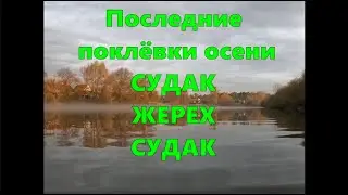 Последние поклёвки осени \ Судак-Жерех-Судак \ #волкер #жерех #рыбалка #спиннинг #судак