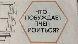 Что заставляет пчел роиться? №6.1986